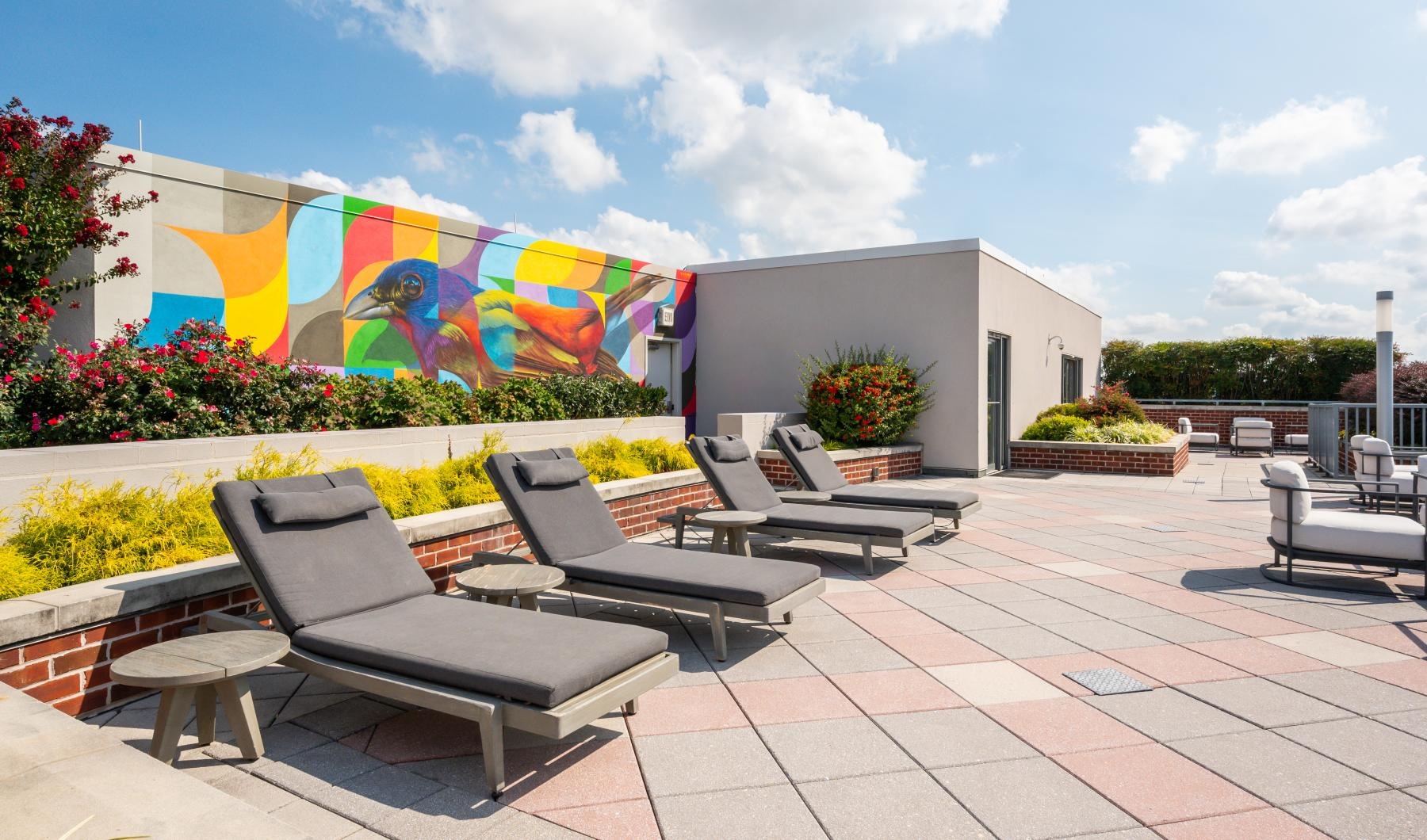 State-of-the-art amenities a rooftop lounge area with lounge chairs and a painted wall