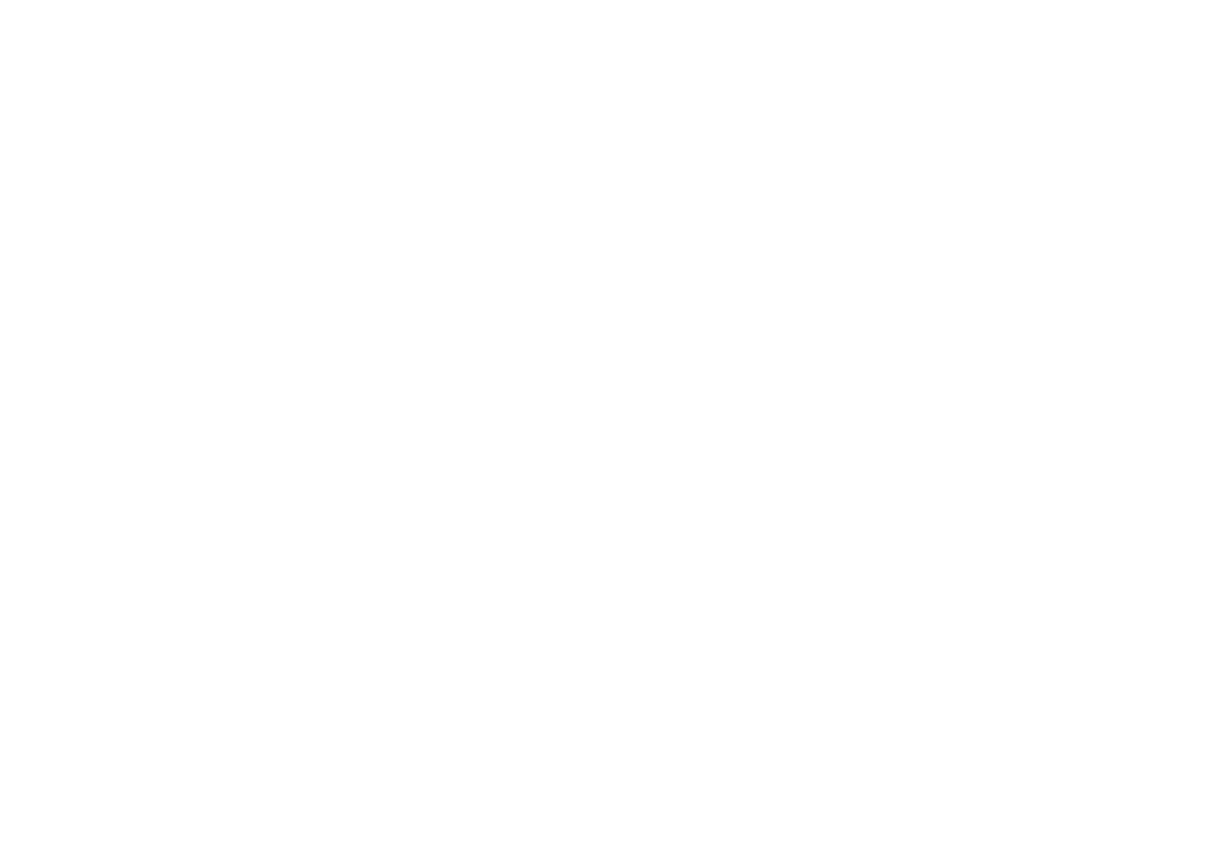 14W Logo